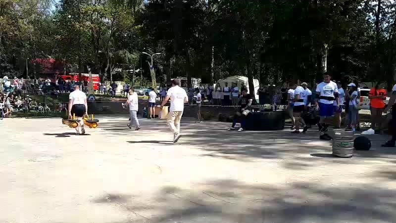 Силовой