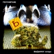 ПРО6А-214 - То чем я дышу, Guf, ЧЭ РО, 2012, СД, Иваново, Underground, Баста, Многоточие, красное дерево, кровосток, Крип-а-крип, Пабло прекрати, МозгоУО!, Каже Обойма, Смоки МО. Saint-p, Русский Рэп, Каста, Грот, Graffiti, Ha1ss, БиПИ, BLaNe, Герой Года