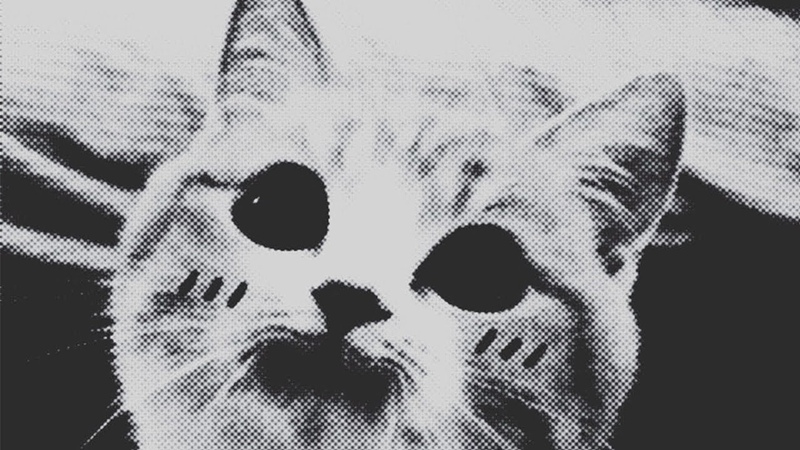 Fouer.x