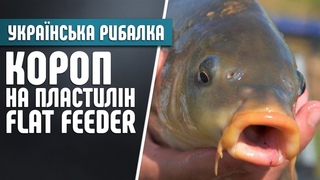 ЛІТНЯ РИБАЛКА. ЛОВЛЯ КОРОПА НА ПЛАСТИЛІН.  Flat Feeder