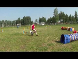 1ая трасса Д0, Винклин, , г. Вологда