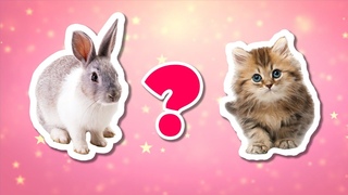 Домашние питомцы🐾Викторина для малышей🏆Развивающие мультики для детей