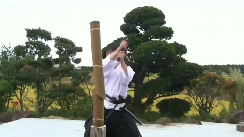 Tenshin-ryu Hyoho-Tameshigiri 試 切