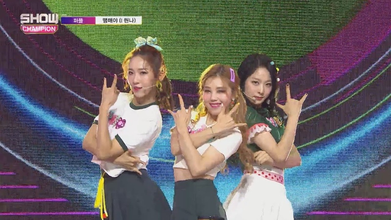 Show Champion PURPLE