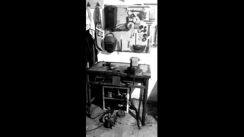 VID_160920608_153721_841.mp4