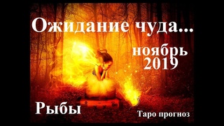 РЫБЫ. НОЯБРЬ 2019.  Ожидание чуда… Прогноз Tarot.