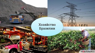 40  Страны Востока Южной Америки  Бразилия