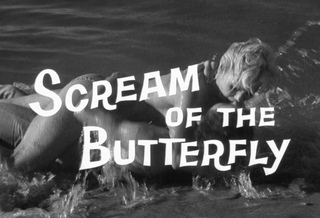 Scream of the butterfly. Supermax Scream of a Butterfly.