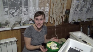 ИНКУБАЦИЯ ПЕРЕПЕЛОВ ,ПОКУПКА ЯЙЦА ,НОВОСТИ С КУРЯТНИКА