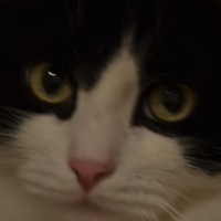 Евгений Поляков