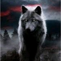 Женя Леонтьев |