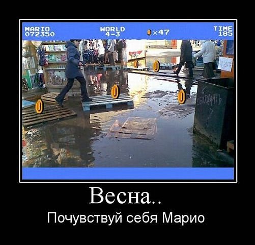 Саша Яницькый фото профиля #278