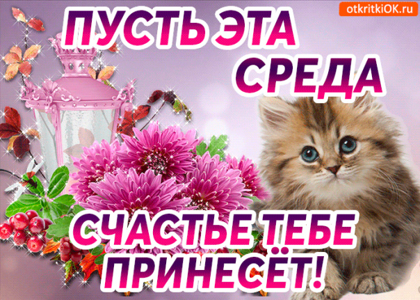 Скачать открытку со средой