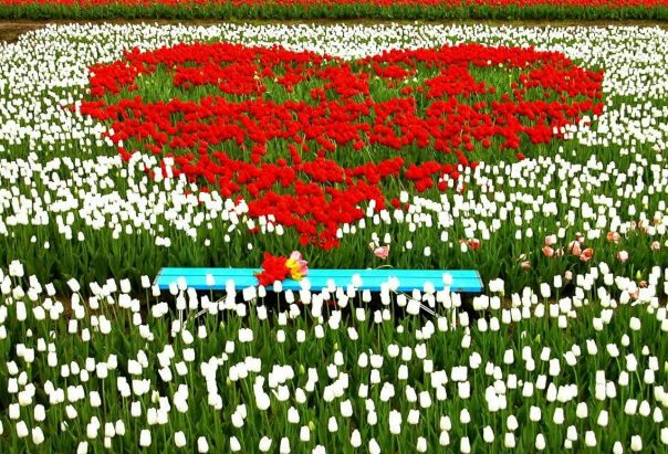 №46, Анастасия Сидорова, 36 лет, Запорожье №46, Анастасия Сидорова, 36 лет, Запорожье