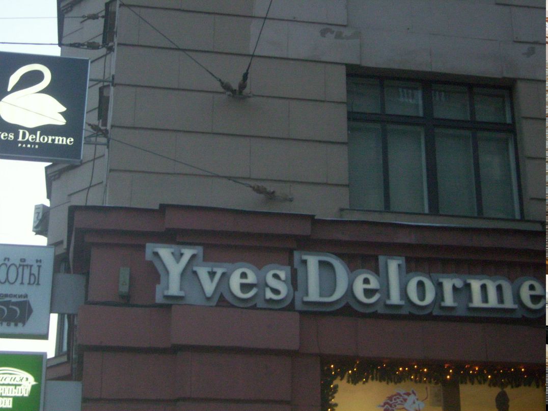 Алина Левитская | Санкт-Петербург