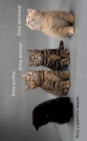 Ильсурка Саитгалиев ツ | Уфа