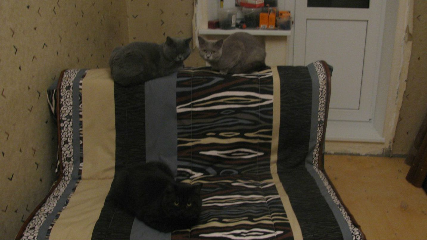 Анна Гололобова | Санкт-Петербург