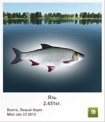 Дмитрий Яковлев | Нефтекамск