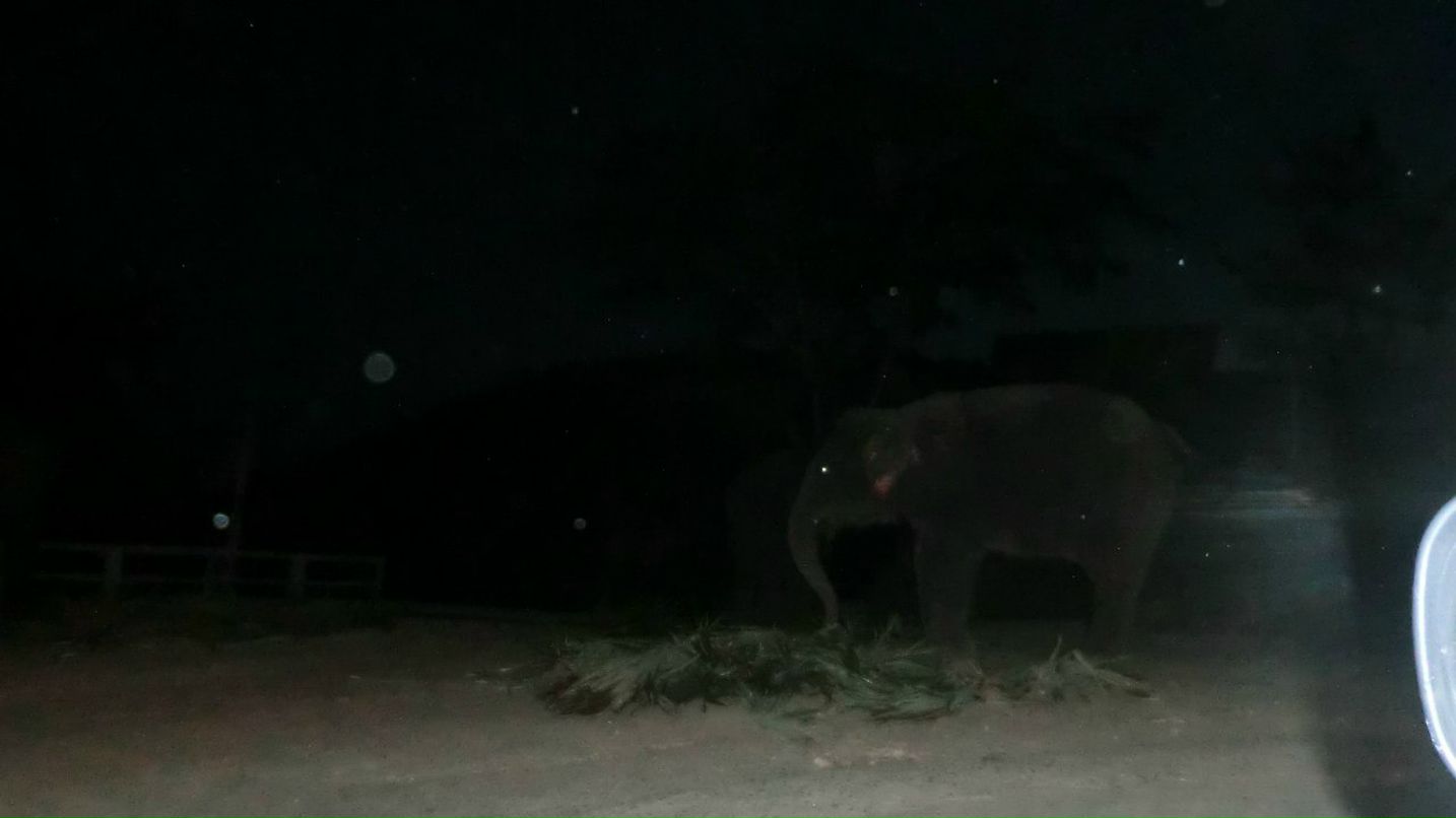 Владимир Аунс | Владивосток