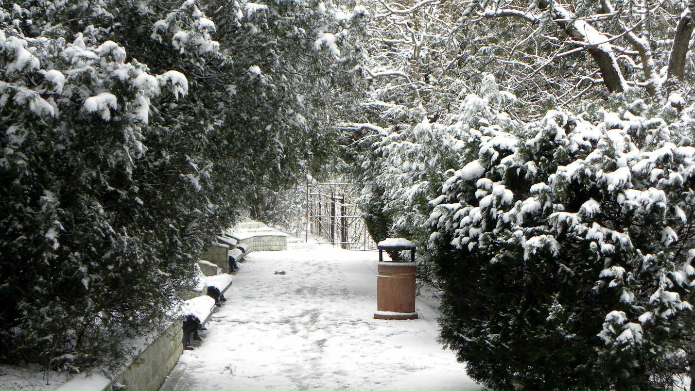 Ana Ananiashvili ...SHVILI... | Los Angeles