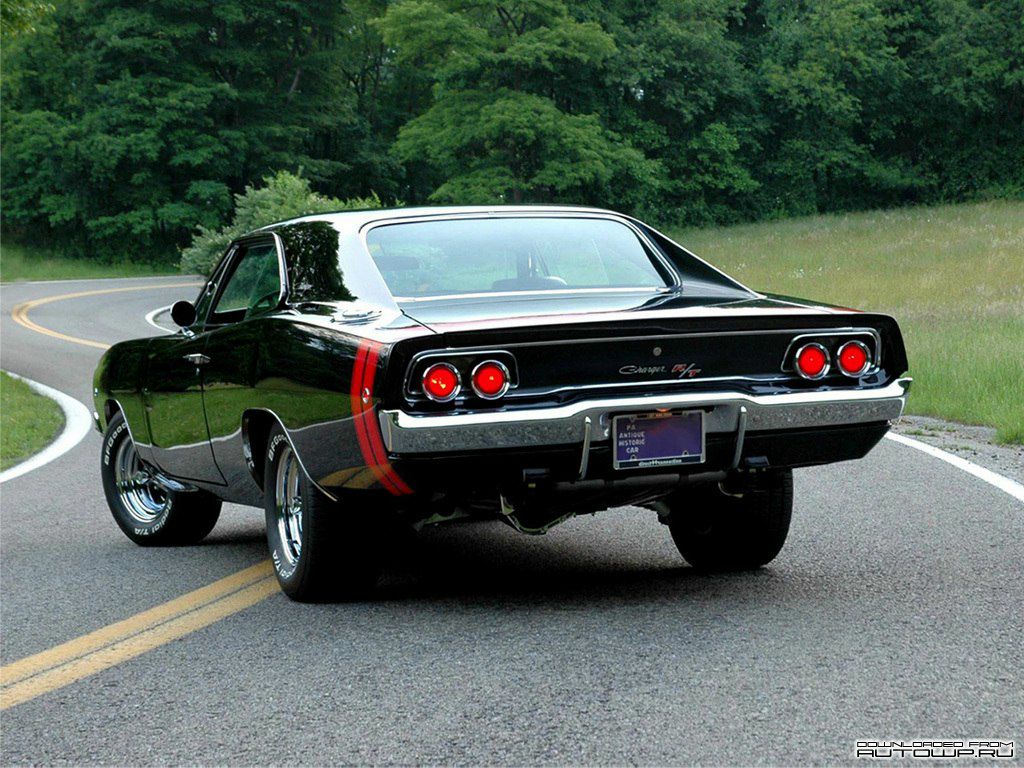 Денис Степаненко | Хабаровск