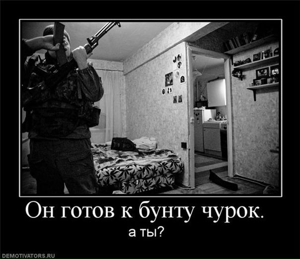 №11, Темик Николаевич, 36 лет, Вологда №11, Темик Николаевич, 36 лет, Вологда