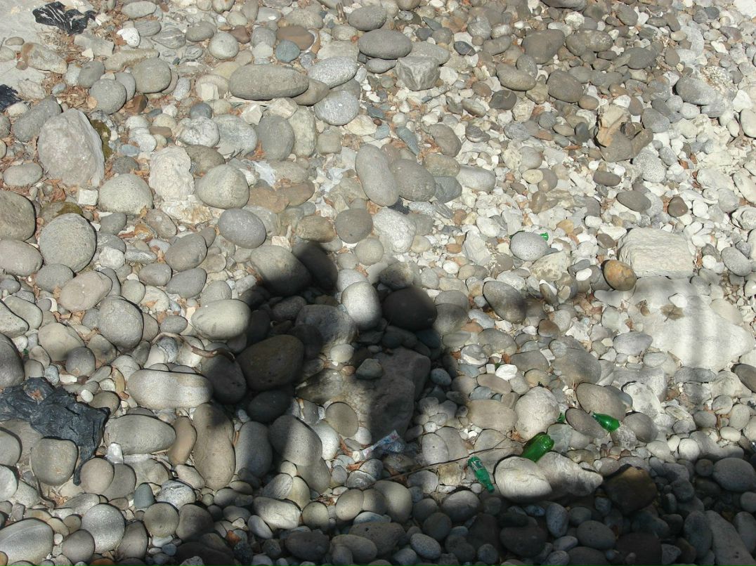 Ольга Фрей | Москва