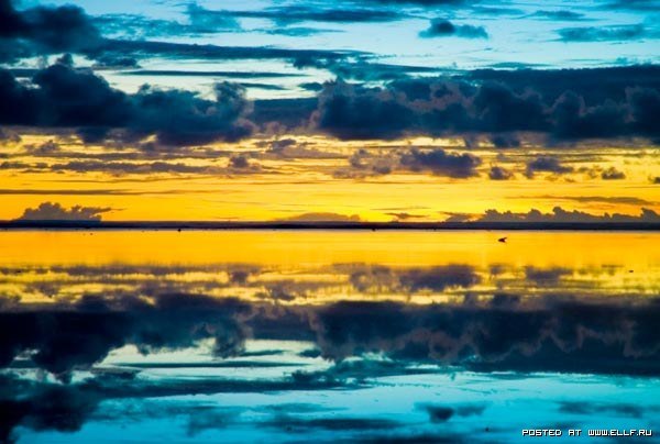 Евгения Усманова | Вышгород