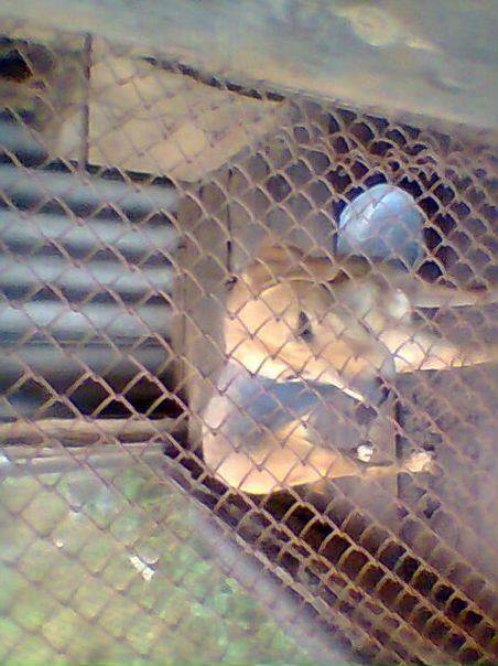 №4, Татьяна Хамидулина-Кондратьева №4, Татьяна Хамидулина-Кондратьева