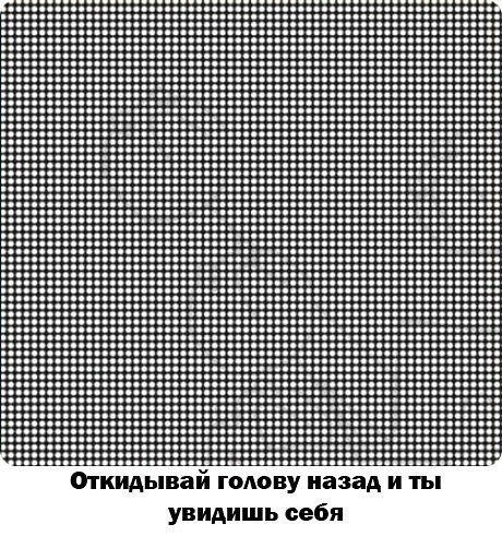 Владимир Щербан 