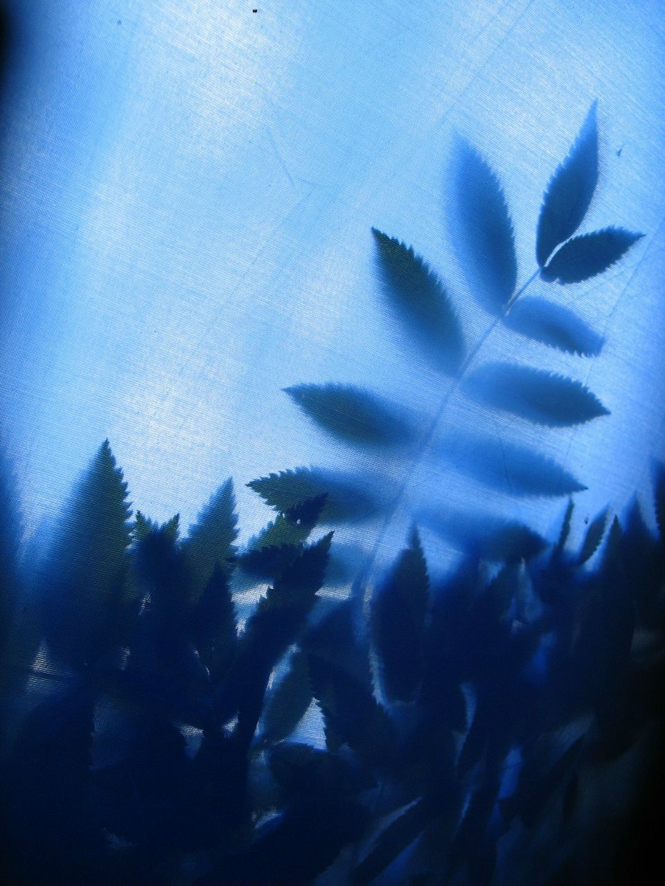 Илья Будов | Санкт-Петербург