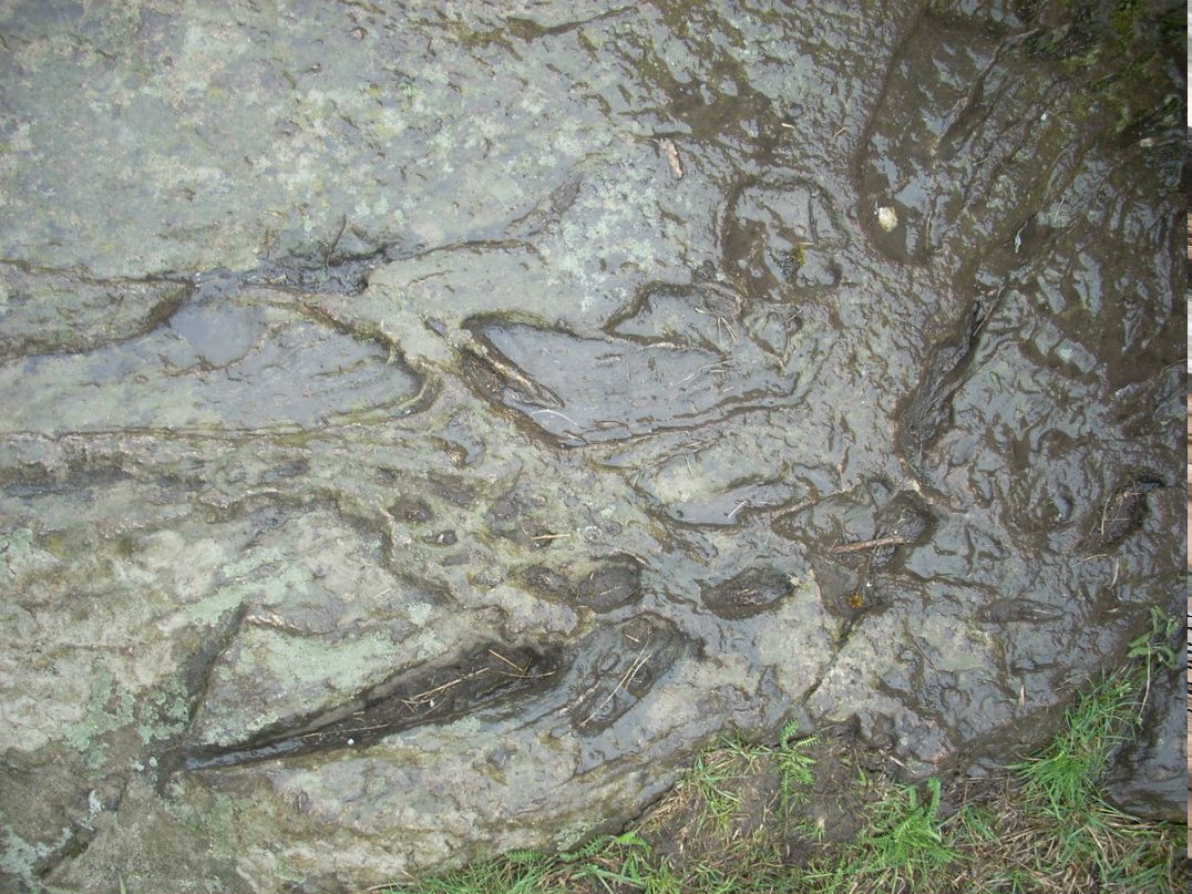 Петр Пащенко | Кривой Рог