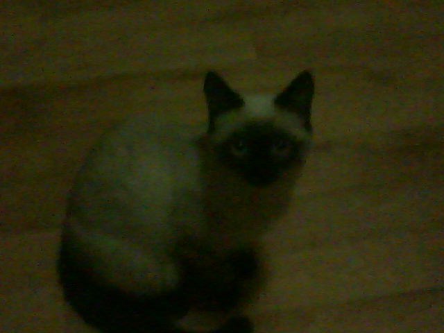 Мария Ткачёва | Казань