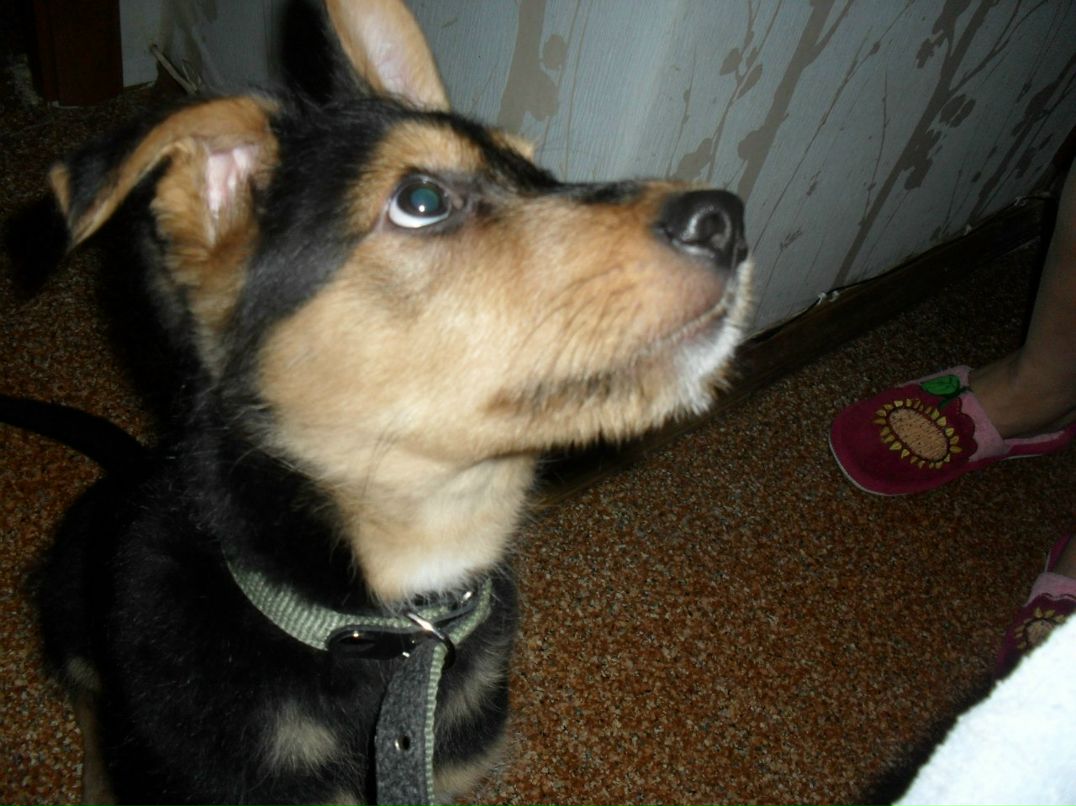 Виталия Кононова | Видное