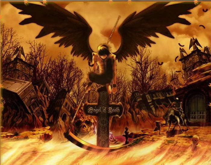 Влад Великоцкий ワディッ | Ростов-на-Дону