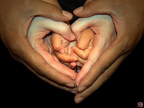 №59, Владлена Москварцева, Санкт-Петербург №59, Владлена Москварцева, Санкт-Петербург