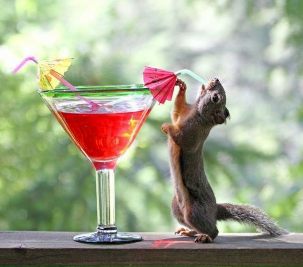 №27, Таня Дарте, 37 лет, Жемчужный №27, Таня Дарте, 37 лет, Жемчужный