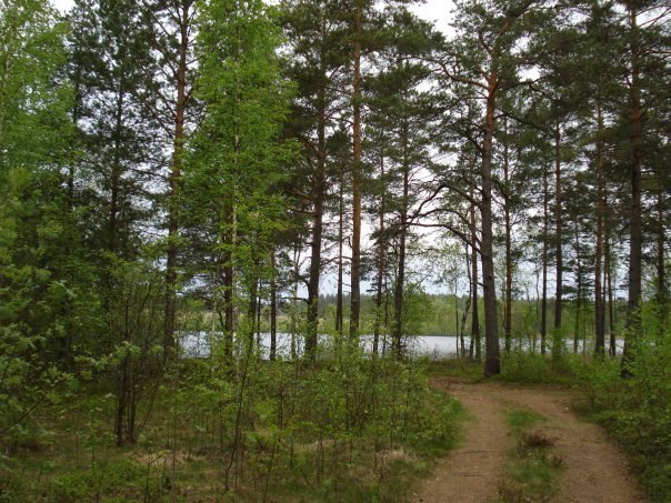 Kira Mitavskaya М | Санкт-Петербург