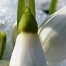 Юлія Аврамук | Ровно