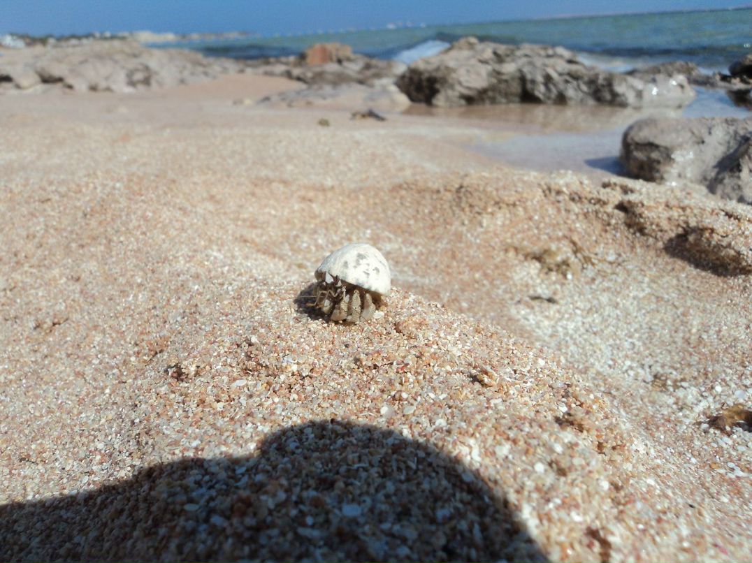 Ирина Карбаинова | Омск