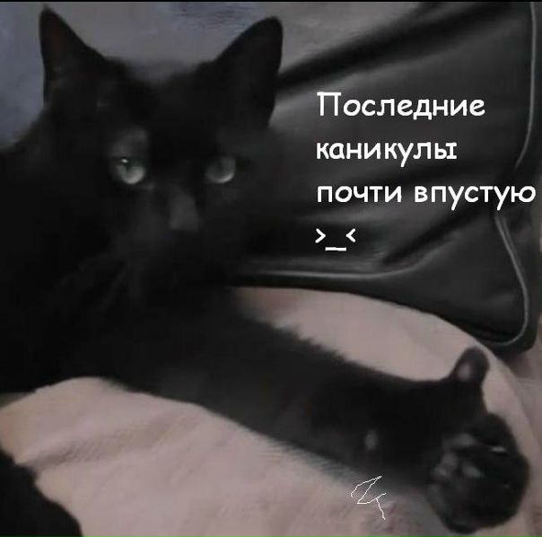 №35, Тимур Зиныч, Москва №35, Тимур Зиныч, Москва