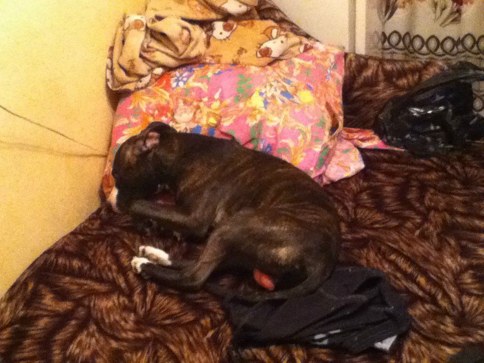 Kat Kan пил и пил | Санкт-Петербург