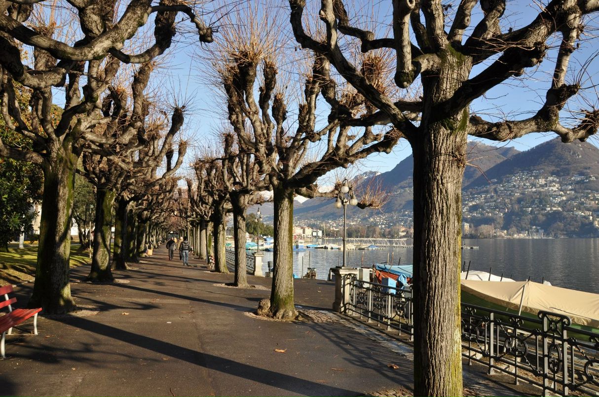 Мария Ильющенкова | Санкт-Петербург