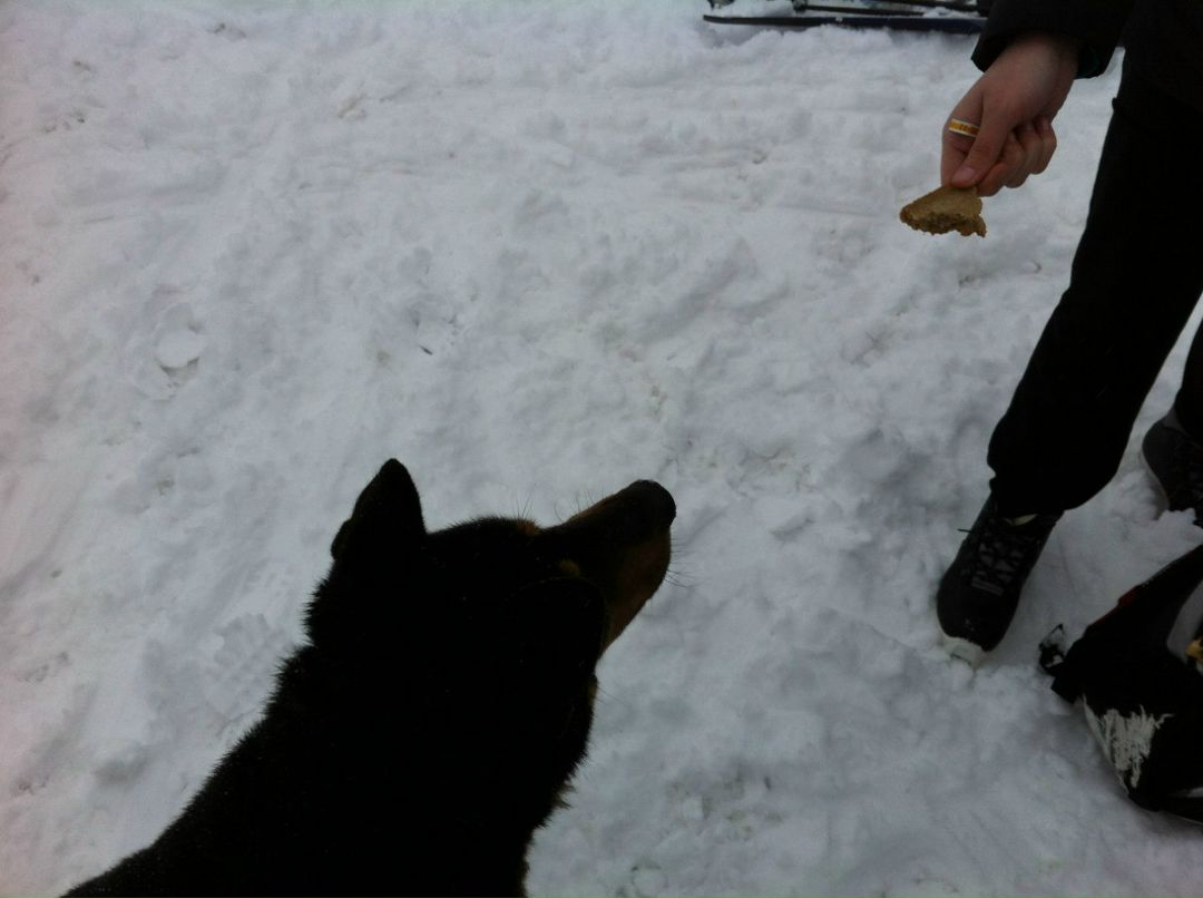 Ярослав Ягель | Санкт-Петербург