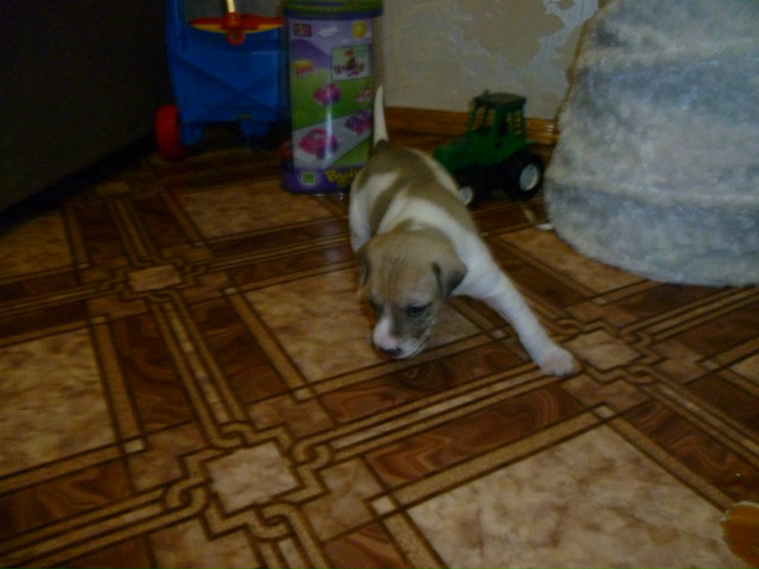 Юлия Саламатина | Краматорск