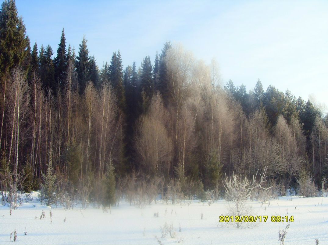 Константин Софронов | 