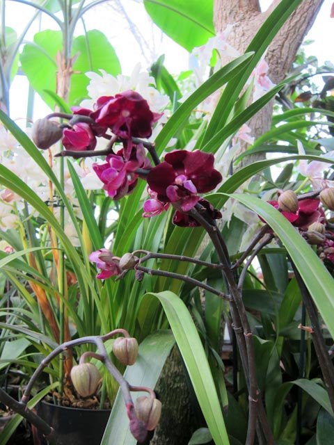 Анастасия Цветкова | Москва