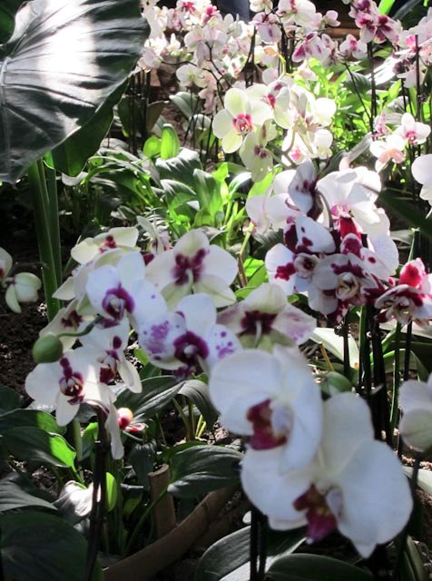 Анастасия Цветкова | Москва