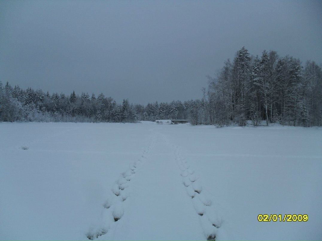 Сергей Тамберг grafDrakula | Санкт-Петербург