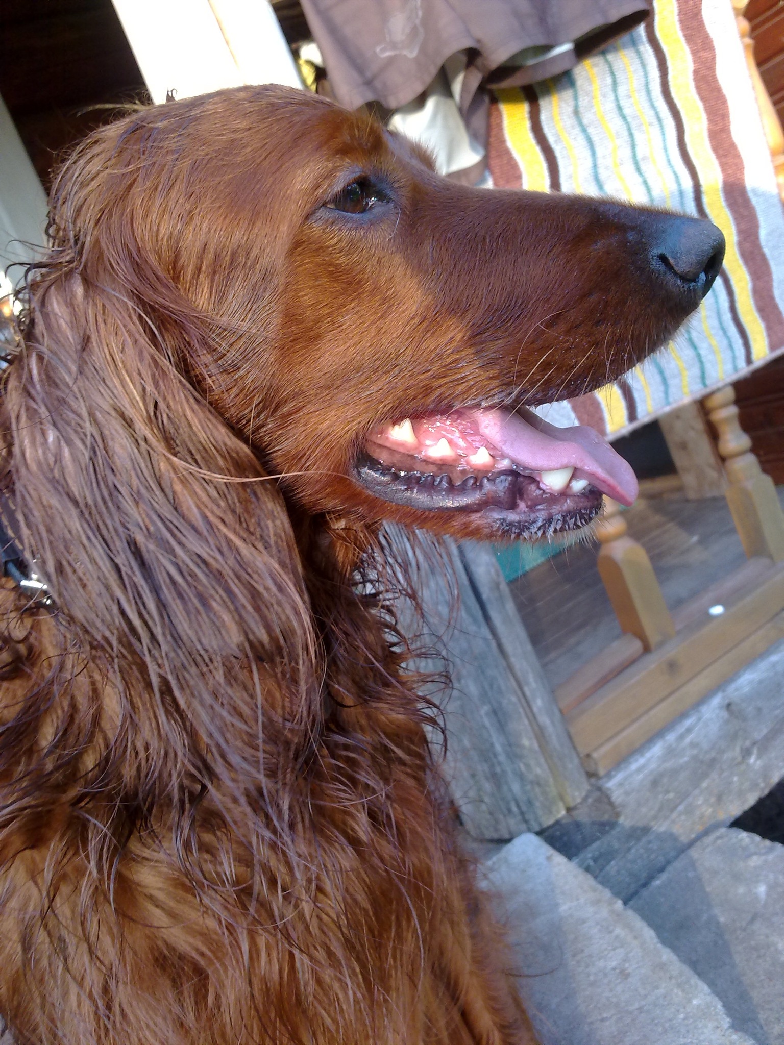 Фото профиля